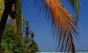 How to Check the Republic of Panama Real Estate Records