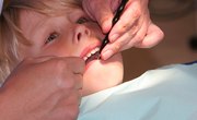 The Best Dental Insurance Plans Without a Waiting Period