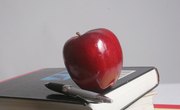 Grants & Scholarships for Black Women Over 50 Years Old