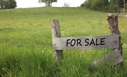 Does Purchasing Land for Cash Affect the Owner's Equity in Accounting?