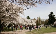 How to Set Up a Scholarship Fund