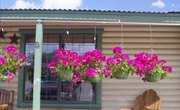 Is It Easier to Get Financed for a Mobile Home Than for a Traditional Home?