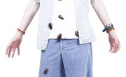 Does Renters Insurance Pay for Lost Furniture Due to Infestation of Pests?