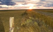 Quiet Title vs. Adverse Possession