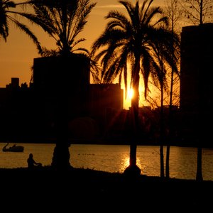 How to Search Real Estate Owner Records in Orlando, Florida
