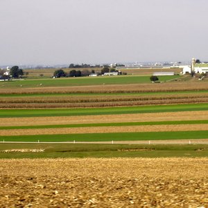 How Do I Get Money From the Government for Not Farming My Land?