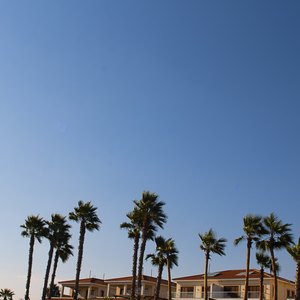 How to Buy Tax Liens & Deeds in Florida