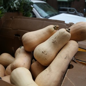 How to Find Grocery Auctions