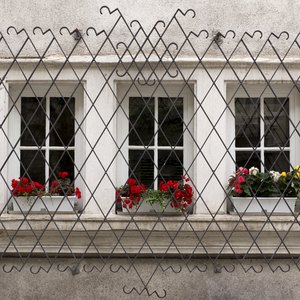 Do Burglar Bars Affect Homeowners' Insurance?