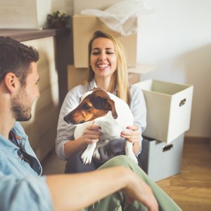 Owner Occupant Rules for Fannie Mae