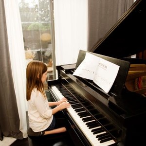 Import Duties on Musical Instruments
