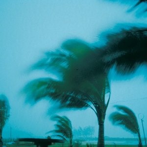 Who Is Required to Have a Windstorm Insurance Policy in Florida?
