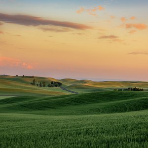 What Is the Homestead Exemption in Tennessee?