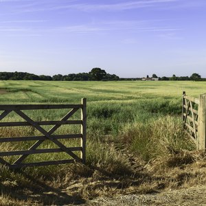 Estimated Land Property Values