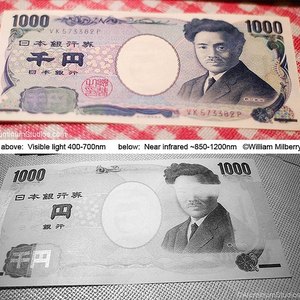 Japanese yen by AluminumStudios: Flickr.com